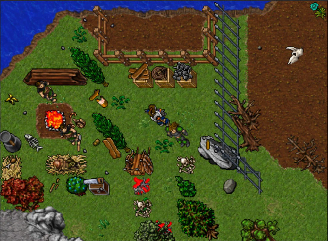 Tibia